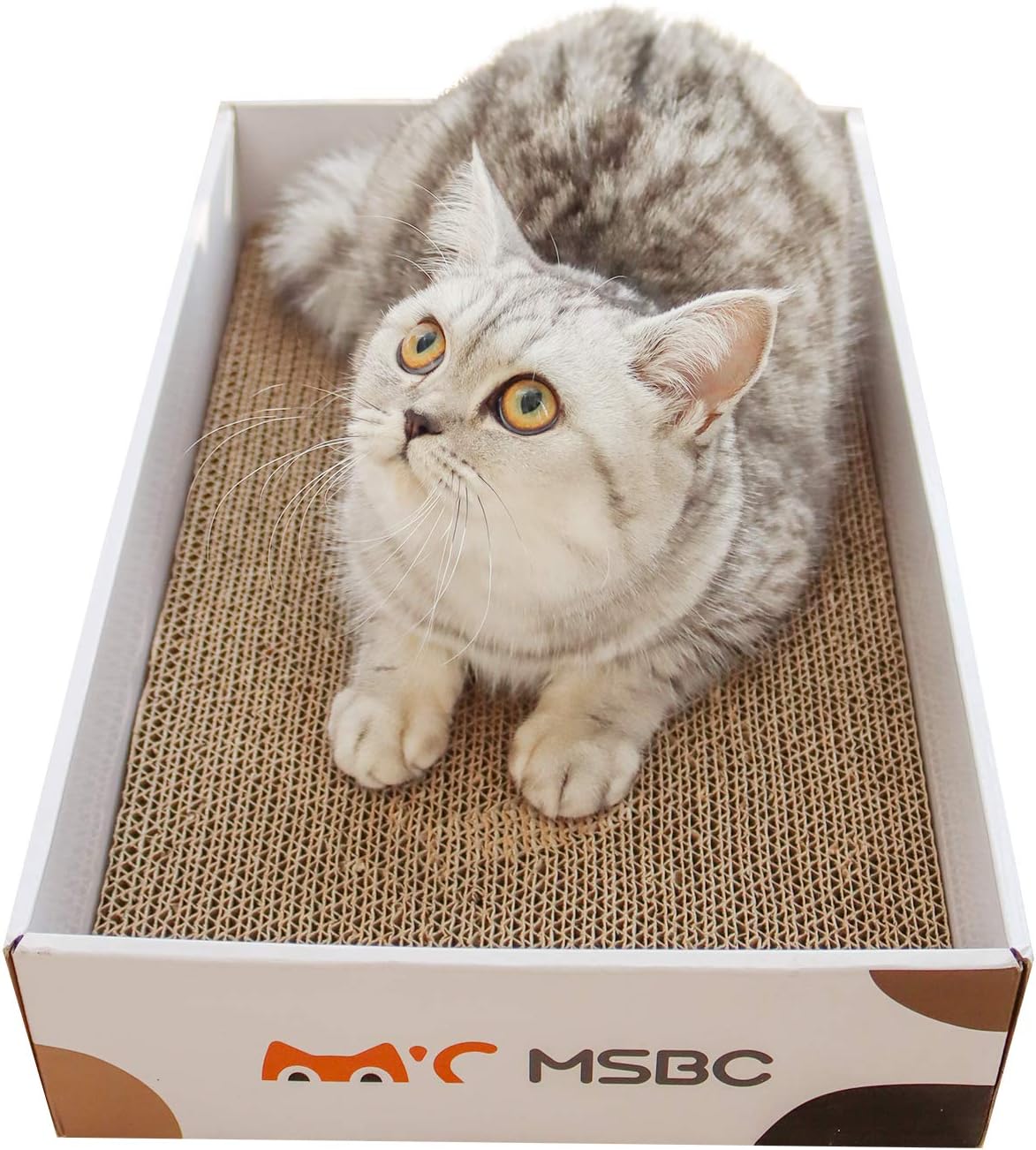 MSBC Cat Scratcher Carboard Refill Box with 3 Pieces 17"x10" Board, Kitty Cat Scratching Pad Recycle Corrugate Scratcher Cat Scratch Lounge Long Lasting Reversable : Pet Supplies