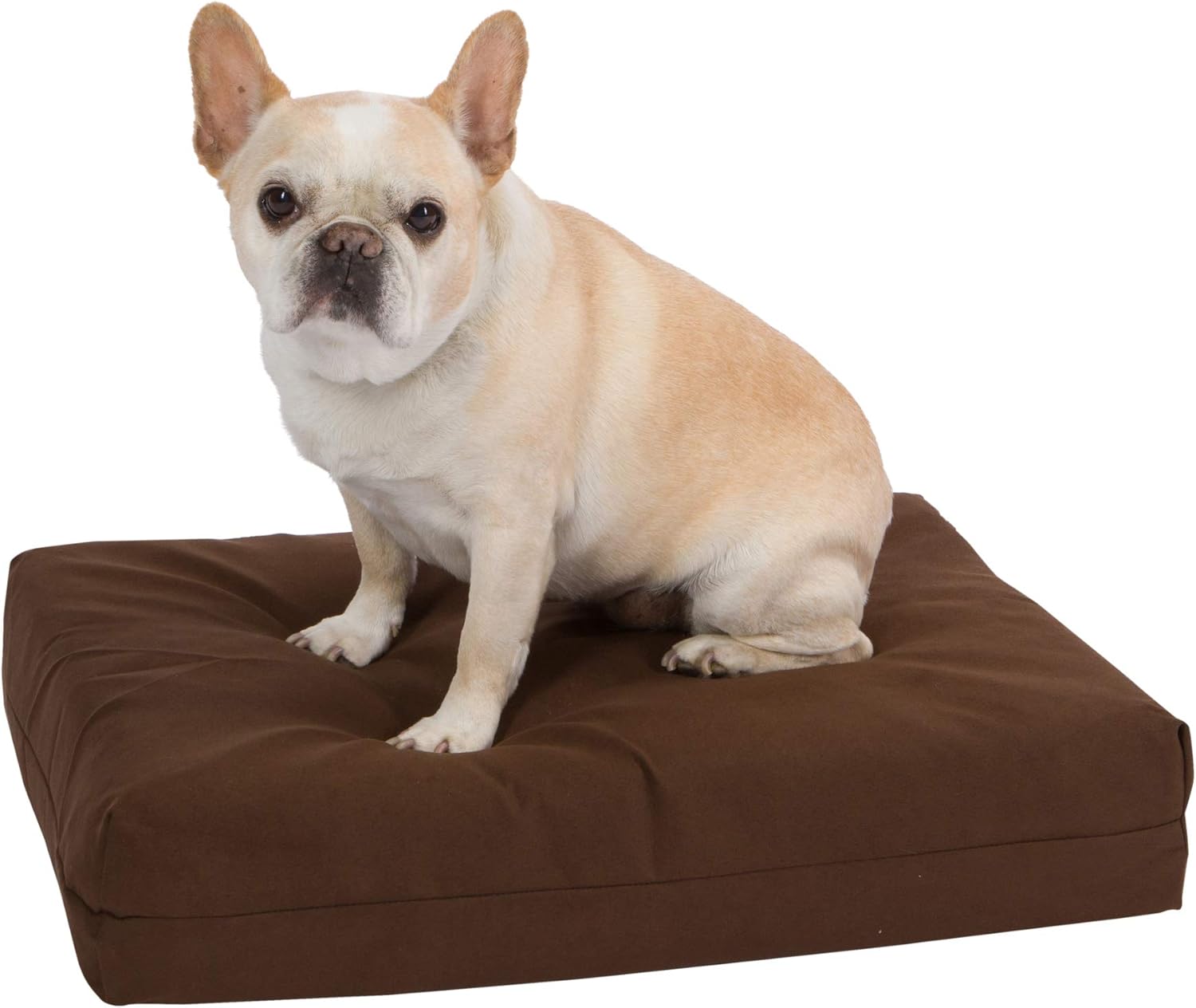 eco friendly dog bed