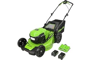 Greenworks 2 x 24V (48V) 20" Brushless Self-Propelled Mower (2) 5Ah USB Batteries and 4A Dual Port Charger, Green (MO48L4211)