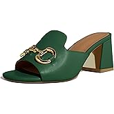 anteikira Women's Square Open Toe Buckle Sandals Slip On High Chunky Block Heel Mules Backless High Heeled Sandals for Women Fashion Summer Heels