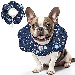 ComSaf Soft Dog Recovery Collar, Protective