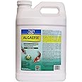 API POND ALGAEFIX Algae control 2.5-Gallon Bottle