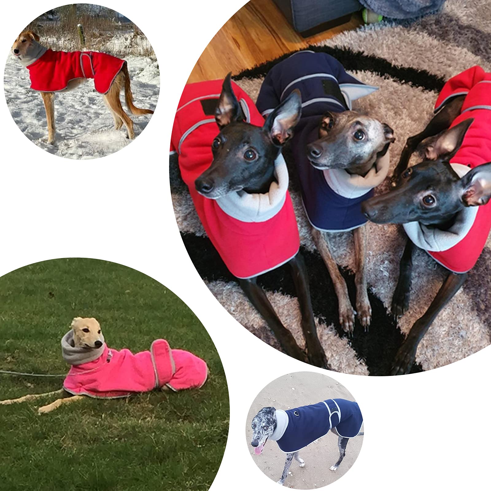 View 6