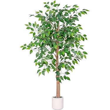 croton plants variety Croton Plant main image 0