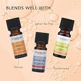 Tisserand Grapefruit Organic Essential Oil 9 ml - Pure, Diffuser & Massage use view 5