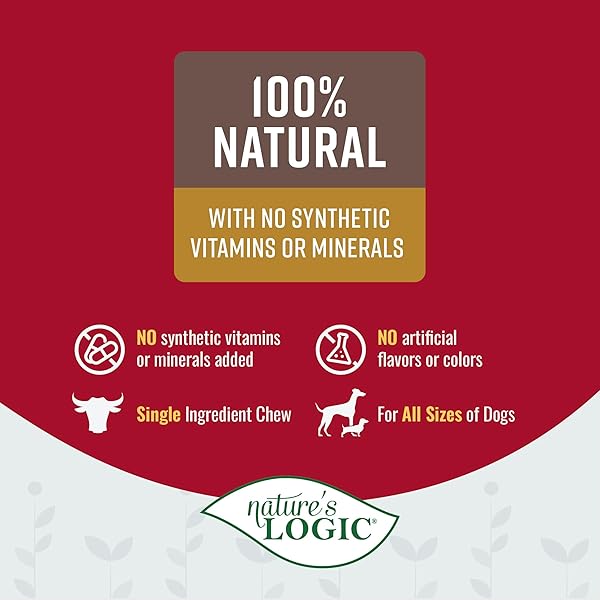 NATURE’S LOGIC BEEF HIND SHANK BONE – 7-8” LONG CHEW – COLLAGEN & PROTEIN SOURCE FOR DOG DENTAL HEALTH & OCCUPATION – CARNIVORE APPROPRIATE RECREATIONAL CHEWING & DENTAL CARE – LARGE HIND SHANK