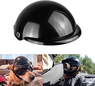 dog bike helmet and goggles