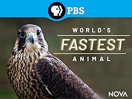 Watch Nova Worlds Fastest Animal Prime Video