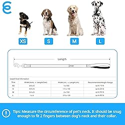 Blueberry Pet Essentials Reflective Better Basics