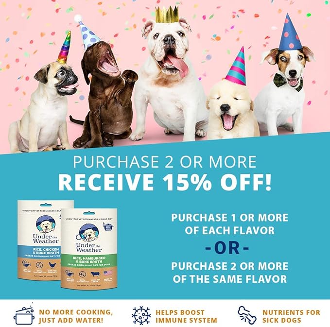 bone broth for sick dog