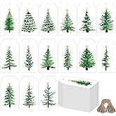 Watersay 240 Pcs Watercolor Christmas Tree Gift Tag Christmas Paper Gift Tags with String and Holes Hanging Labels for DIY Xmas Winter Party Favor Decor, 15 Designs
