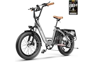 EUY Electric Bike for Adults with Peak 1500W Motor, 48V 20Ah Removable Battery Fast Ebike,Max 70Miles & 30MPH,20" x4.0 Fat Tire Commuting Electric Mountain Bike,7-Speed, Step-Thru Bicycle