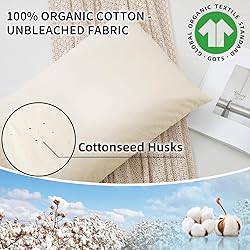 LOFE Organic Buckwheat Pillow for Sleeping