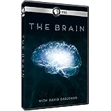 Brain With David Eagleman