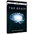 Brain With David Eagleman