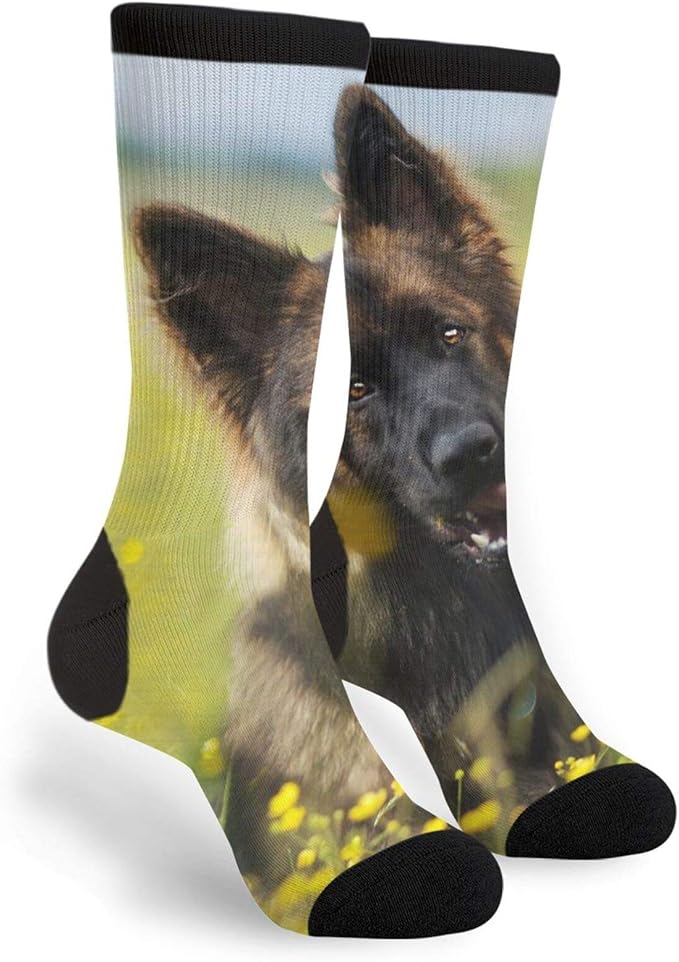 Cute German Shepherd Puppy Novelty Socks Athletic Stockings Comfort