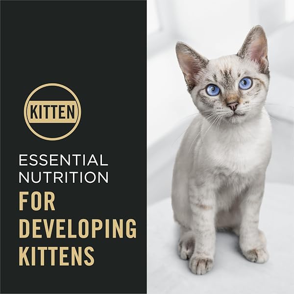 PURINA PRO PLAN KITTEN DRY FOOD COMPLETE ESSENTIALS CHICKEN AND RICE FORMULA – 3.5 LB. BAG