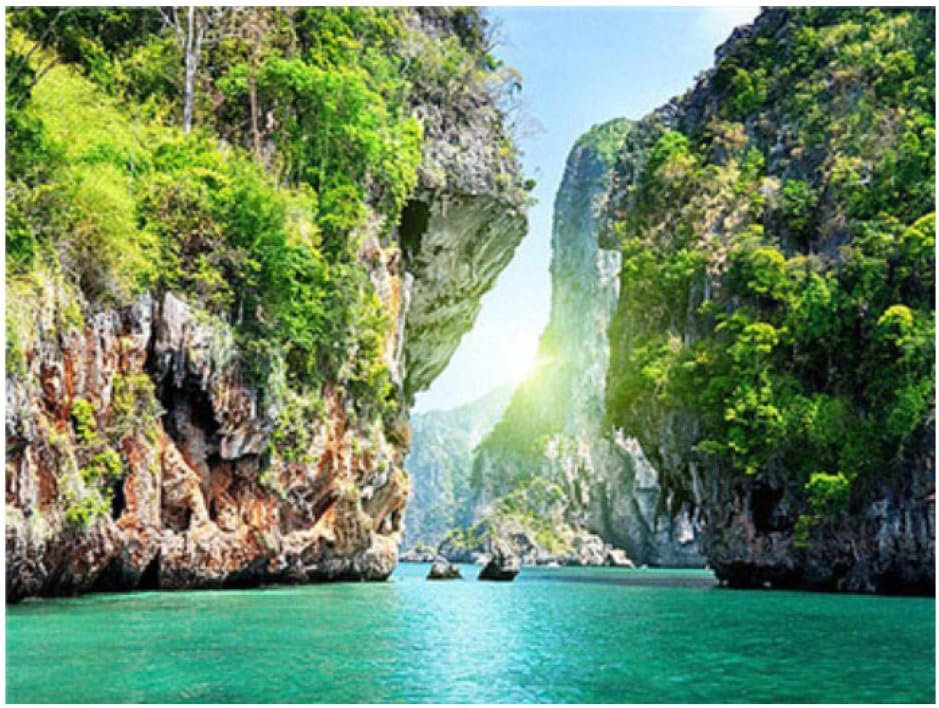 MXXHS DIY 5D Diamond Painting Kits for Adults Full Drill Mountain Lake Landscape Cross Stitch Kit Diamond Painting Kits Rhinestone Embroidery Diamond Art for Home Decor Living Room 30x40cm Frameless