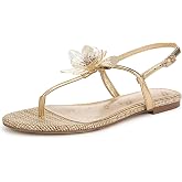 Sam Edelman Women's Eden | Casual Sandals