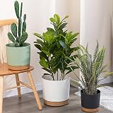 ZMTECH 16.5cm Plant Pots Set of 2 White Plastic Planters with Drainage Holes view 6