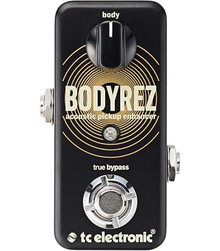 AMT S1 Legend amps Guitar preamp (Soldano Emulates) Guitar Effects