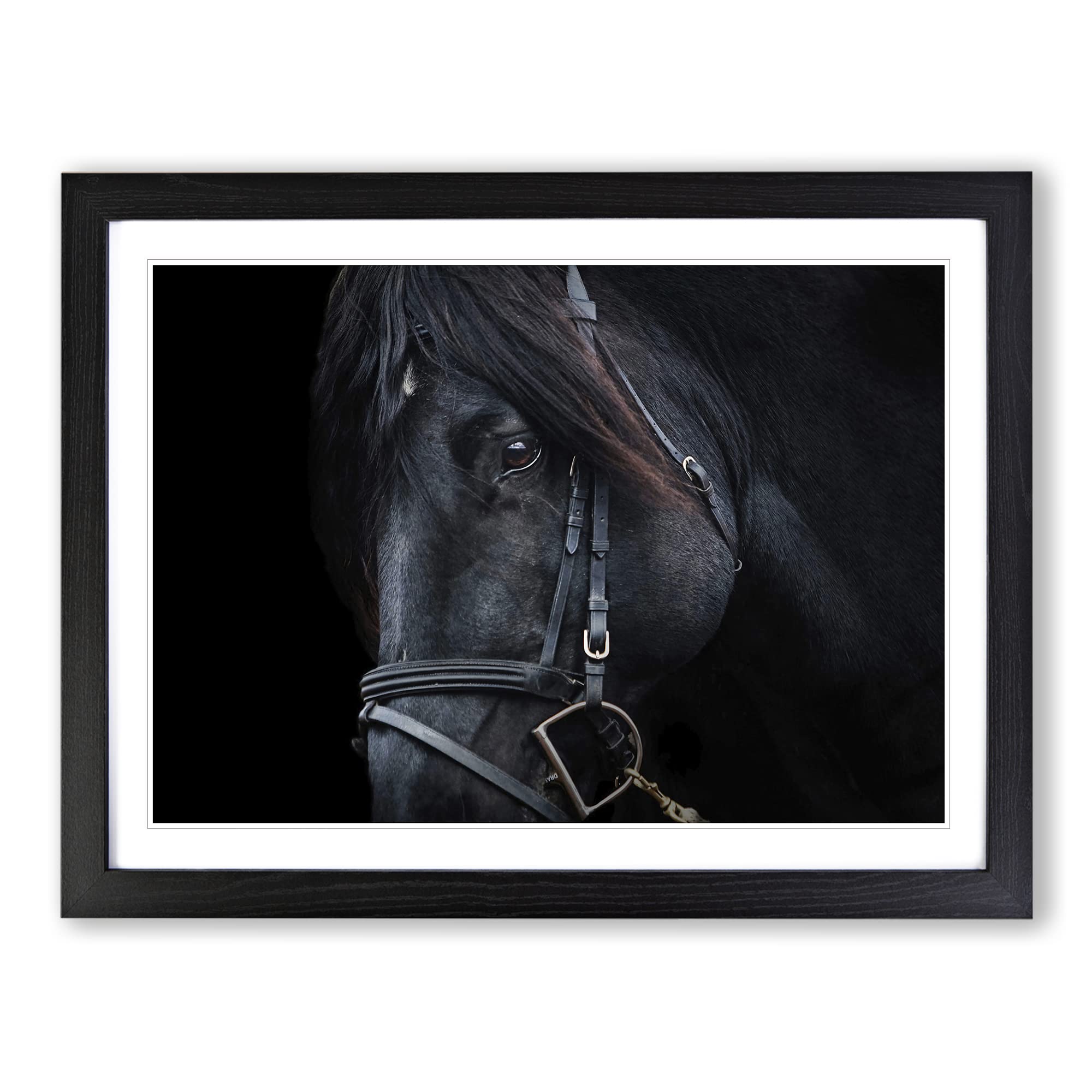 Black Horse Stallion Modern Framed Print | A3 Black Framed Wall Art | Ready to Hang | Modern Animal Picture | Living Room Bedroom Lounge Office