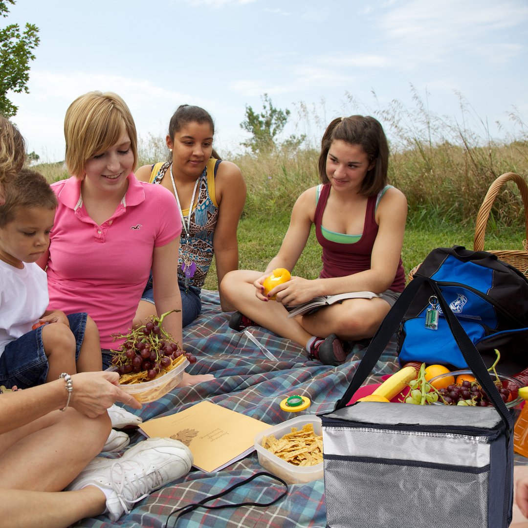 Borsa termica Borsa Frigo Porta Pranzo Pieghevole Isoterma Mantenere Caldo o Freddo, perfetti per il campeggio, le grigliate e l\'outdoor, pieghevole e isolata