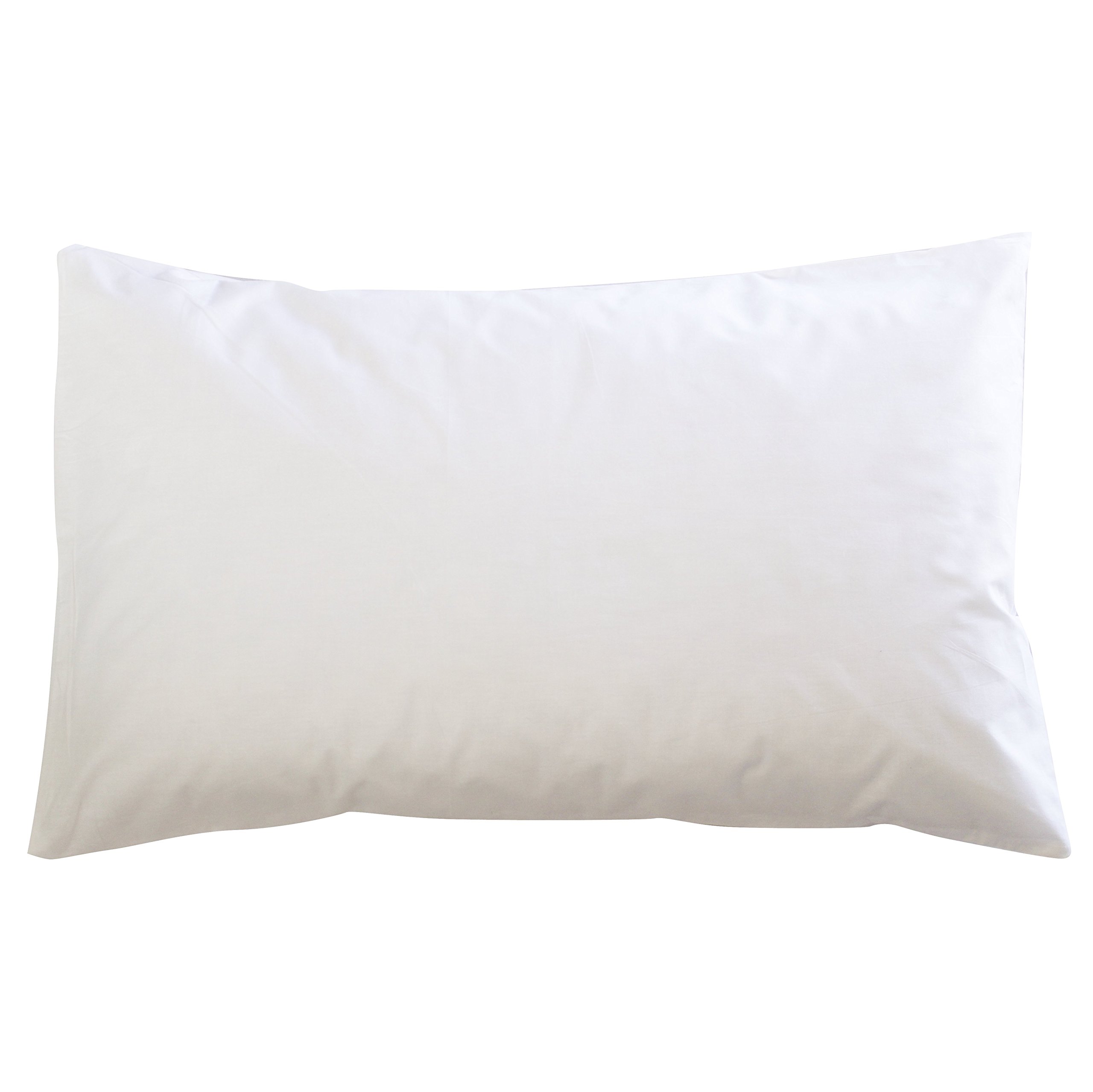 European 800 Fill Power 100 White Goose Down Pillow Standard