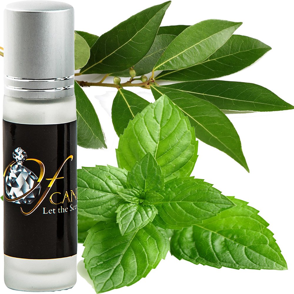 EUCALYPTUS & SPEARMINT Perfume Roll On Fragrance Oil 2 x