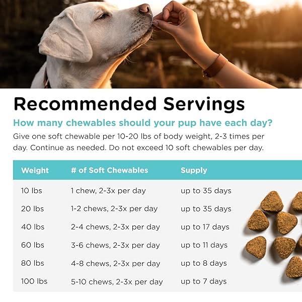 NUTRI-VET PET-EASE SOFT CHEWS FOR DOGS, VET FORMULATED WITH CHAMOMILE & TRYPTOPHAN TO SOOTHE AND CALM DURING STORMS, SEPARATION ANXIETY, AND LOUD NOISES, DOG CALMING SUPPLEMENT, 6.0 OZ