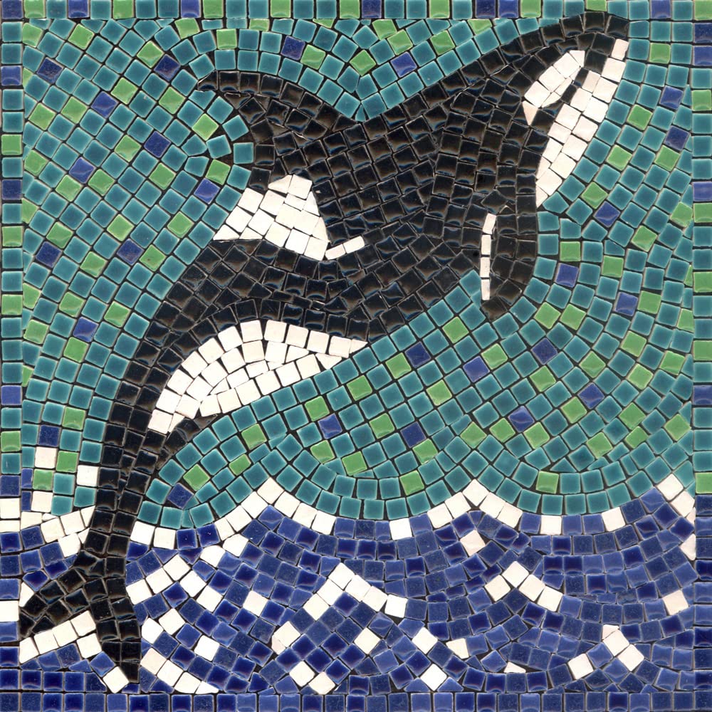 DIY Mosaic Art Kit Square 7inch 20cm Orca