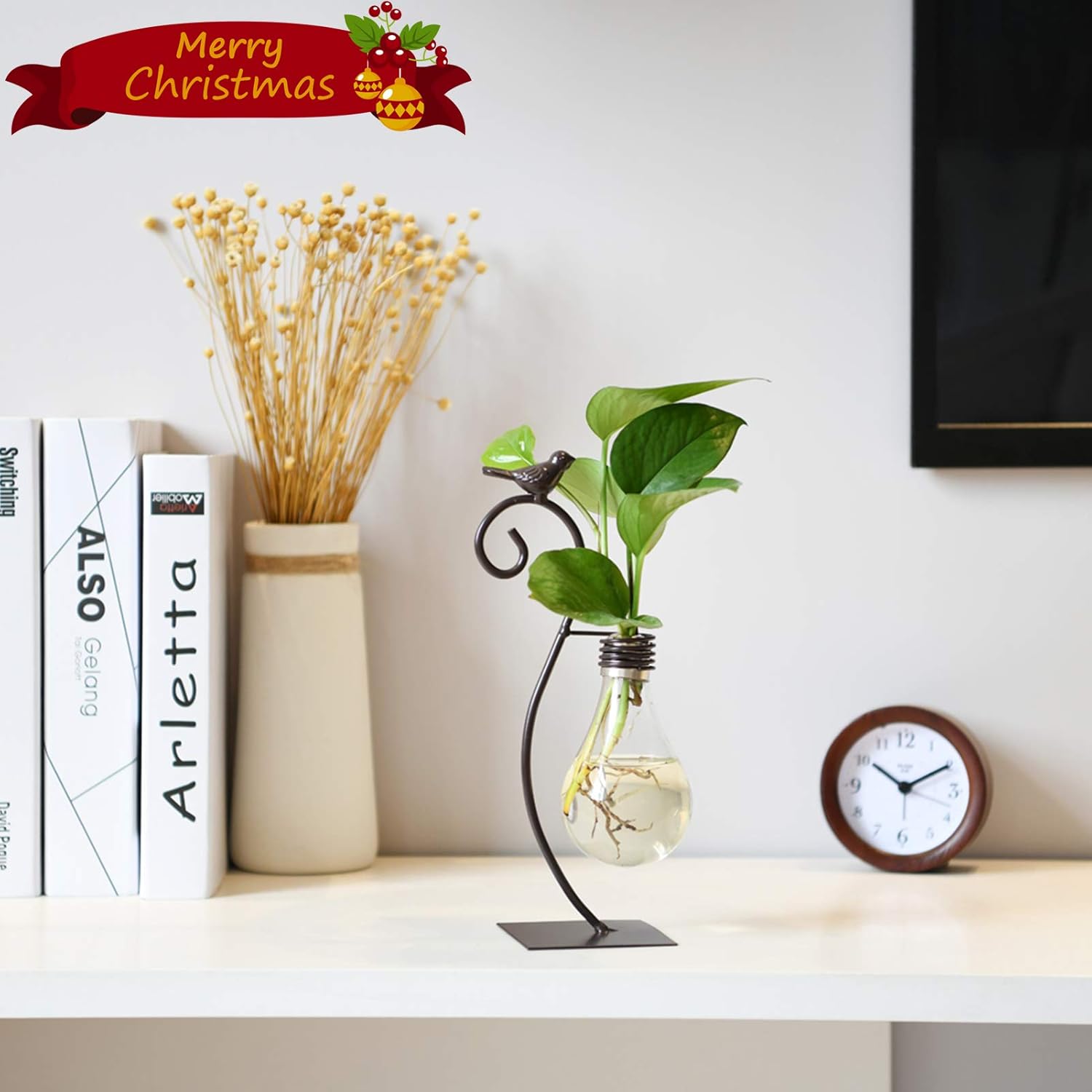 Marbrasse Desktop Glass Planter Hydroponics Vase,Planter Bulb Vase with Holder for Home Decoration,Modern Creative Bird Plant Terrarium Stand, Scindapsus Container (Bulb Vase): Kitchen & Dining