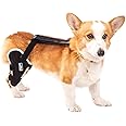 LufeLux Dog Knee Brace for Torn ACL, Two Angled Lateral Aluminum Splints Support Dogs with Stability, CCL Injury, Patella Luxation, Arthritis, Joint Pain, Dog ACL Brace Hind Leg(Right Leg, X-Small)