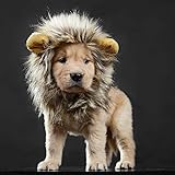 lcfun Lion Mane Costume for Cat Puppy - Pet Wig with Ears, Cat Clothes for Halloween Party