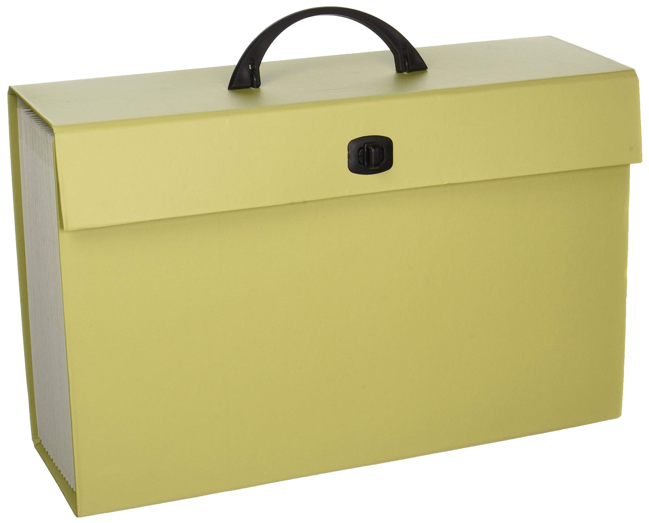 Portable Expanding File Box 19 Pockets Blank Tabs Printed Labels