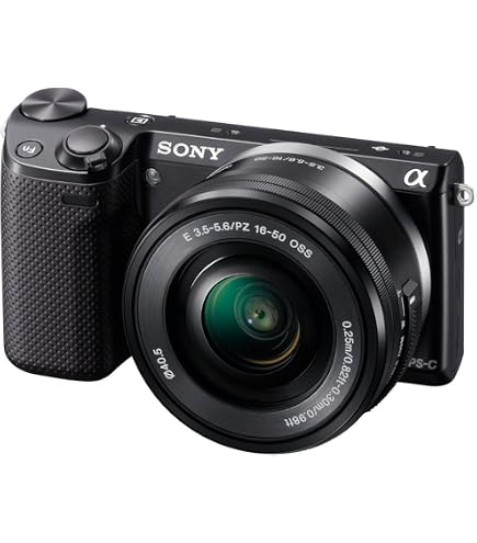 Amazon.com : Sony Alpha NEX NEX5 Digital Camera (Body Only) Black