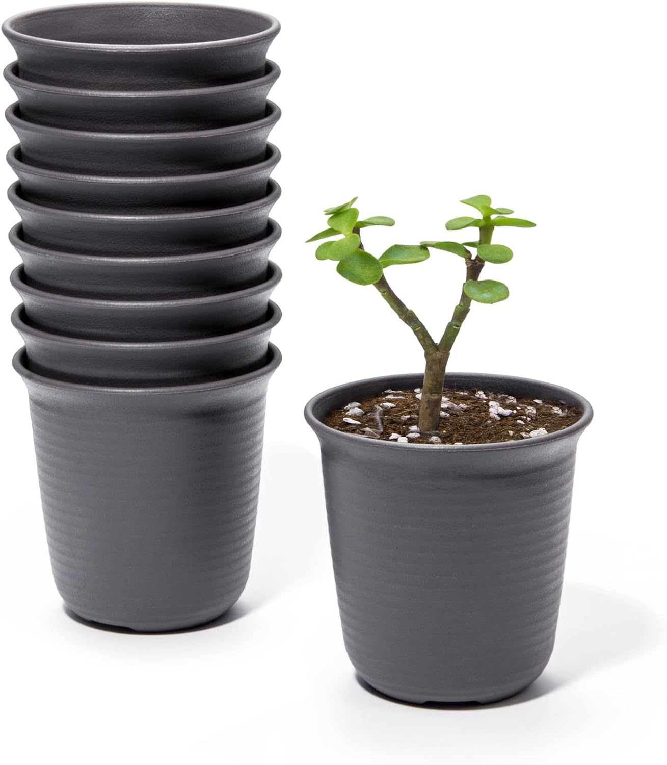 goldblue Plastic Round Succulent Plant Pot Cactus Plant Pot