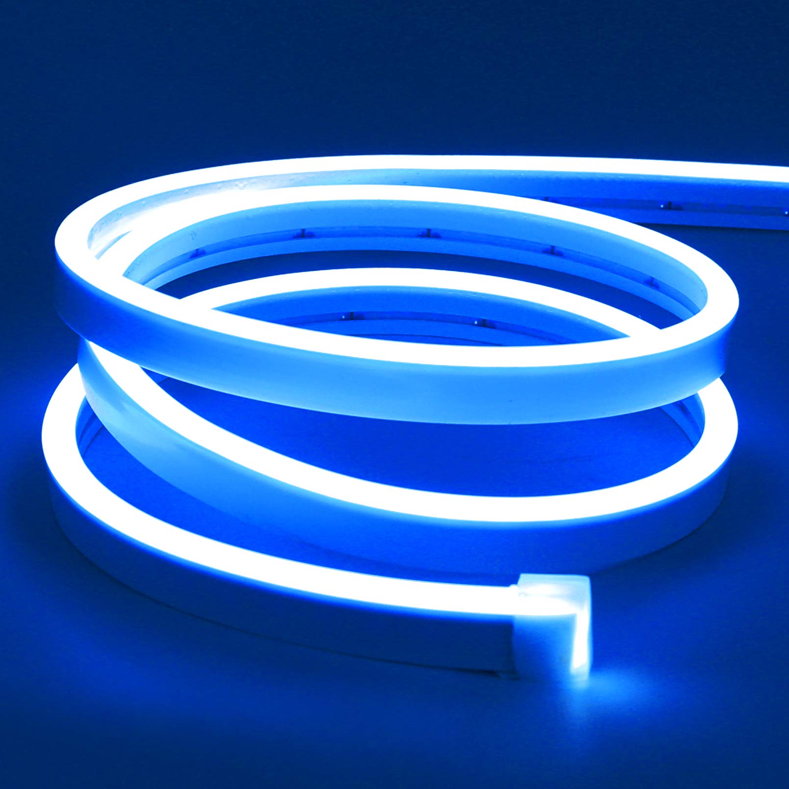 Photo 1 of Lamomo LED Neon Lights, 16.4ft Blue LED Strip Light, 12V 0.39in/Cut Silicone Waterproof Neon Rope Light, DIY Neon Sign for Bedroom Indoor Outdoor Decoration?Power Adapter not Included?
