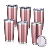 StarSpeed 20oz 6 pack Insulated Tumblers with Lid