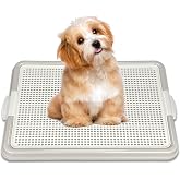 LYNNINME Dog Pee Pad Holder Tray, Puppy Potty Training, 22.5"x16.5", PP Plastic, Snap Lock, 4 Colors (Gray)