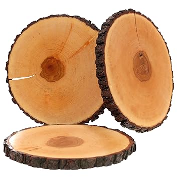 Lackiertes Riss Rindenbrett Esche rund - Rissbrett Baumscheibe Rindenscheibe, Brettgröße:Ø ca. 30cm