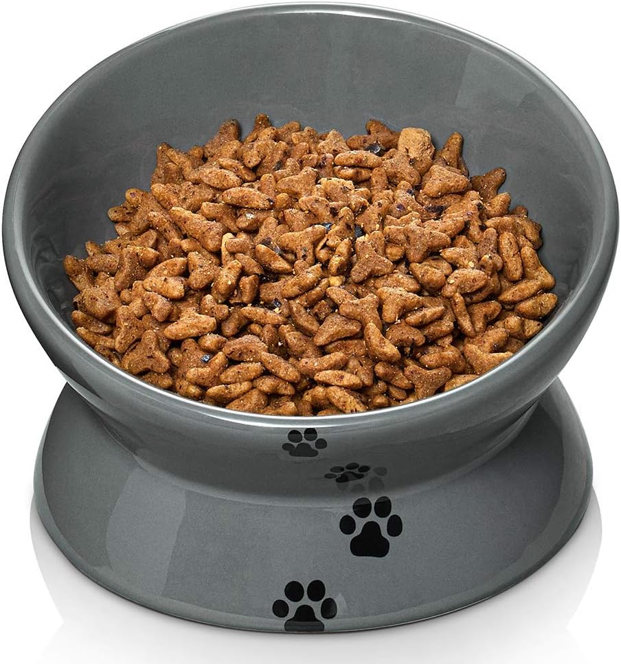 shiba throws food bowl