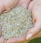 Gro-Sure Aqua Gel Coated Smart Grass Lawn Seed 25 m2 1 kg view 7
