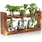 Plant Terrarium Propagation Stations Hydroponics Halloween Skull Planter Vase Skulls Decor with Wooden Stand Gife for Father