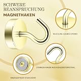 Neosmuk Magnetic Hook 4 kg Gold Neodymium Strong Indoor Outdoor view 4