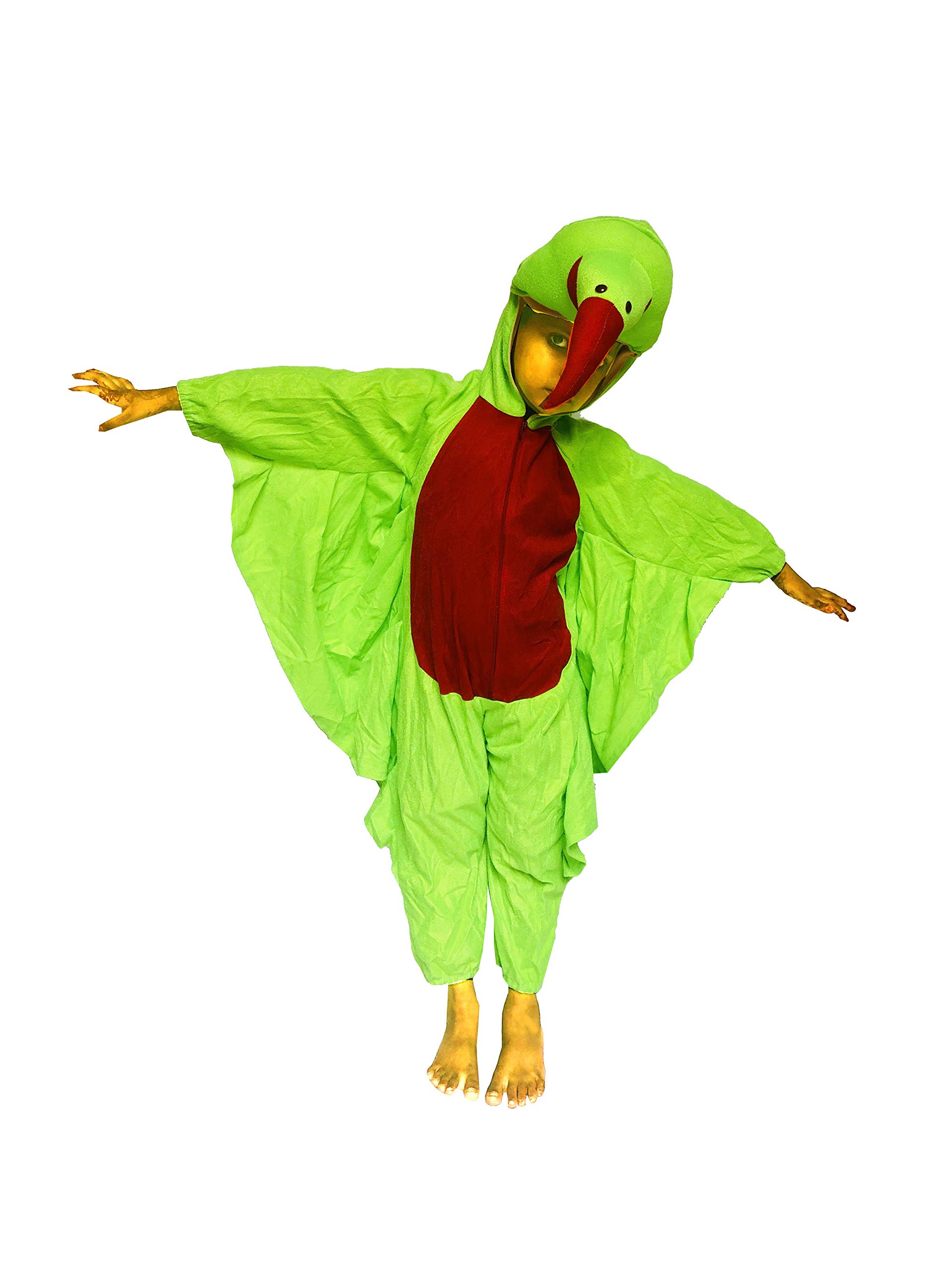 fancy dress for school function