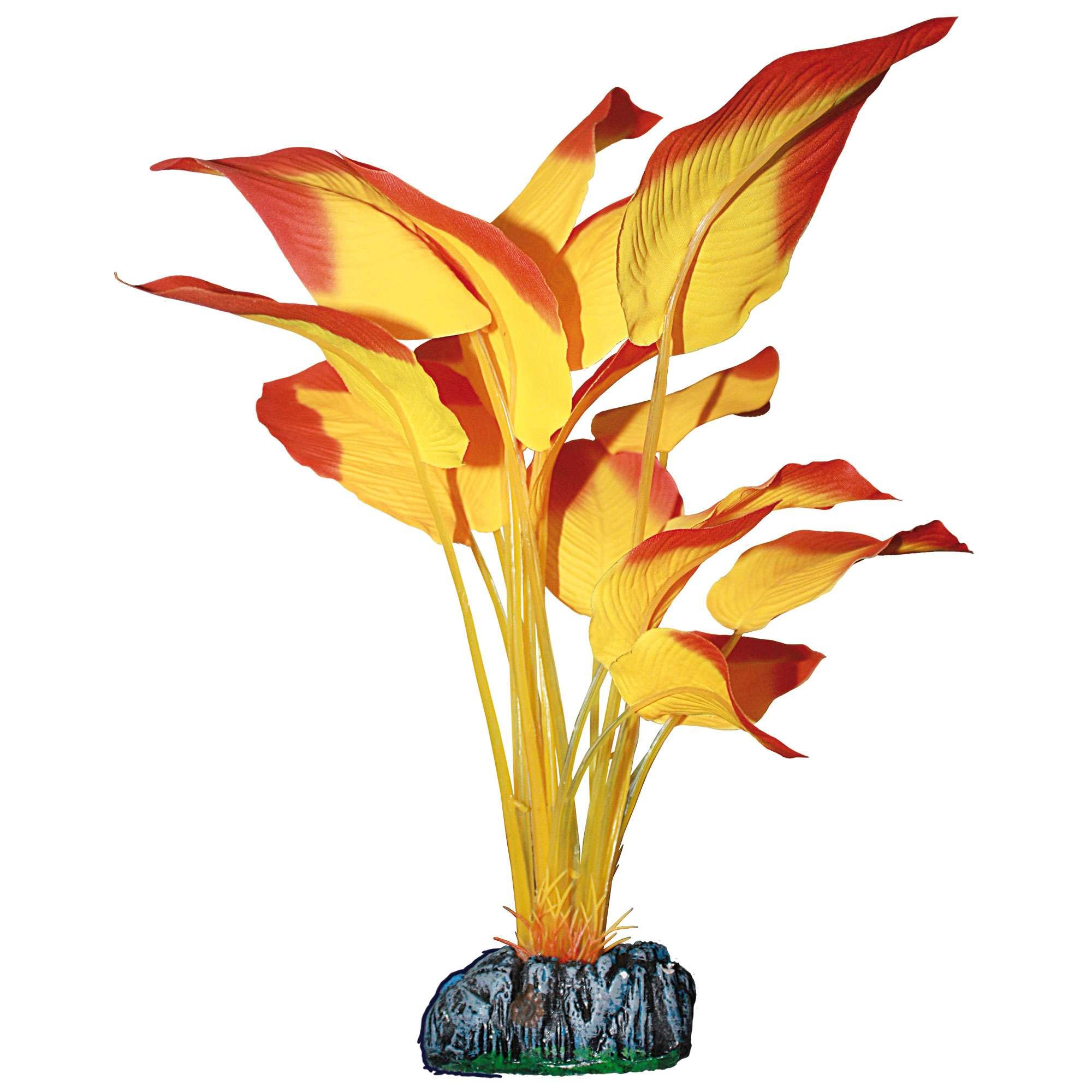 ICA AP1182 Anubias by Aquatic Plants Silk