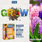 Phostrogen All Purpose Plant Food 800g Fertiliser for Growth & Drought view 3