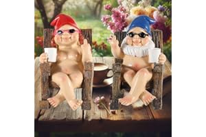 GOGNOME Funny Naked Gnomes Set – Durable Resin Miniature Fairy Garden Gnomes Perfect for Indoor and Outdoor Decor - Middle Finger Gifts - Naughty Gifts for Women Man (Rectangular)