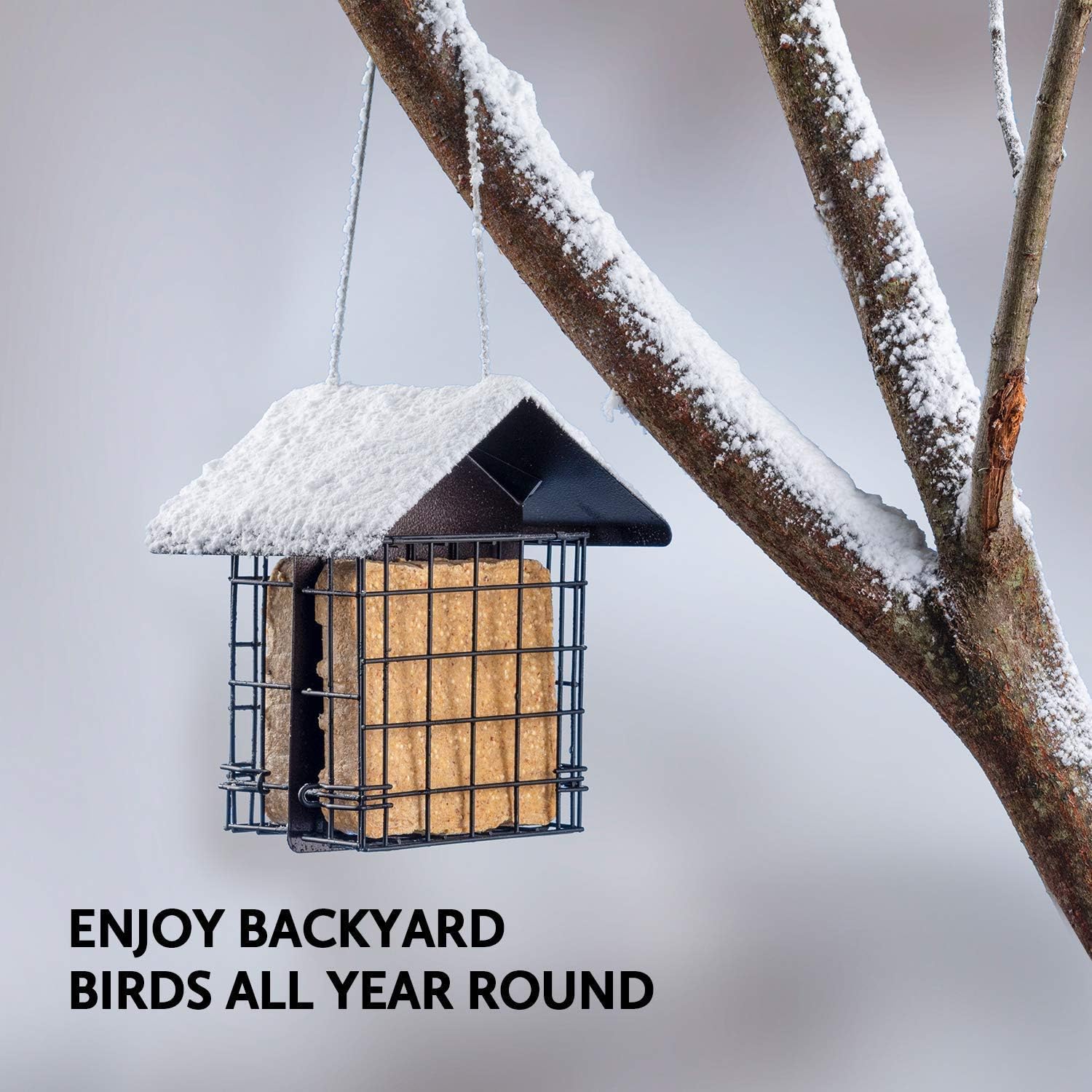 Suet Bird Feeder for Outside [Double Capacity] Suet Wild Bird Feeder with Hanging Metal Roof, Suet Feeders for Outside, for Use with Suet Cakes, Seed Cakes, Mealworm Cakes : Garden & Outdoor